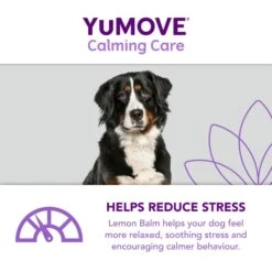 YuMOVE One-A-Day Calming Care Supplement For Medium Dogs -Fuzzyard Shop I9521909 en 07