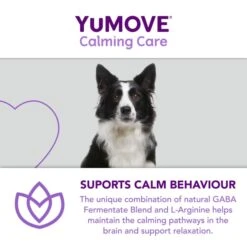 YuMOVE One-A-Day Calming Care Supplement For Medium Dogs -Fuzzyard Shop I9521909 en 08