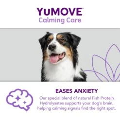 YuMOVE One-A-Day Calming Care Supplement For Medium Dogs -Fuzzyard Shop I9521909 en 09