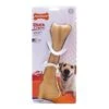 Nylabone Dura Chew Monster Bone Dog Toy -Fuzzyard Shop I9522120