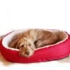 Rosewood 40 Winks Orthopaedic Dog Bed - Red -Fuzzyard Shop I9522450 02