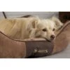 Scruffs Chester Box Dog Bed - Chocolate Brown -Fuzzyard Shop I9522612 04