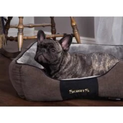 Scruffs Chester Box Dog Bed - Graphite Grey
