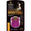 Starmark Everlasting Groovy Ball Dog Toy -Fuzzyard Shop I9522742 02