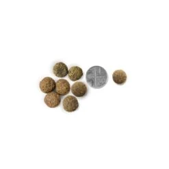 Vet's Kitchen Protect & Care Senior Dry Dog Food - Salmon & Brown Rice 10 Vet's Kitchen Protect & Care Senior Dry Dog Food - Salmon & Brown Rice -Fuzzyard Shop I9522961 03