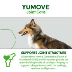 YuMOVE Joint Care One-a-day Supplement For Medium Dogs -Fuzzyard Shop I9523124 en 08