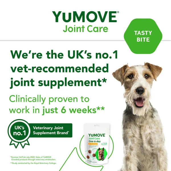 YuMOVE Joint Care One-a-day Supplement For Small Dogs 4 YuMOVE Joint Care One-a-day Supplement For Small Dogs - Image 2