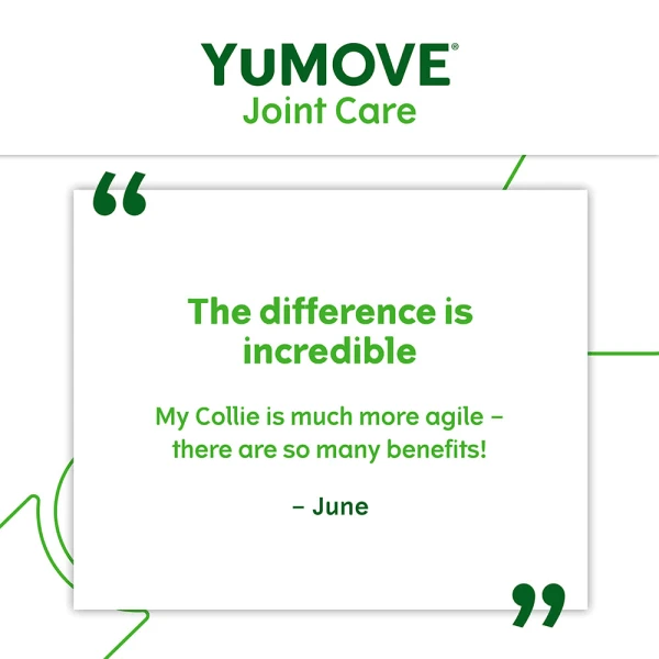 YuMOVE Joint Care One-a-day Supplement For Small Dogs 11 YuMOVE Joint Care One-a-day Supplement For Small Dogs - Image 9