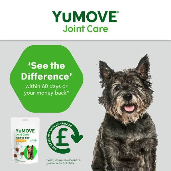 YuMOVE Joint Care One-a-day Supplement For Small Dogs 6 YuMOVE Joint Care One-a-day Supplement For Small Dogs - Image 4
