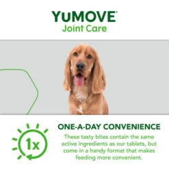 YuMOVE Joint Care One-a-day Supplement For Small Dogs 19 YuMOVE Joint Care One-a-day Supplement For Small Dogs -Fuzzyard Shop I9523125 en 06