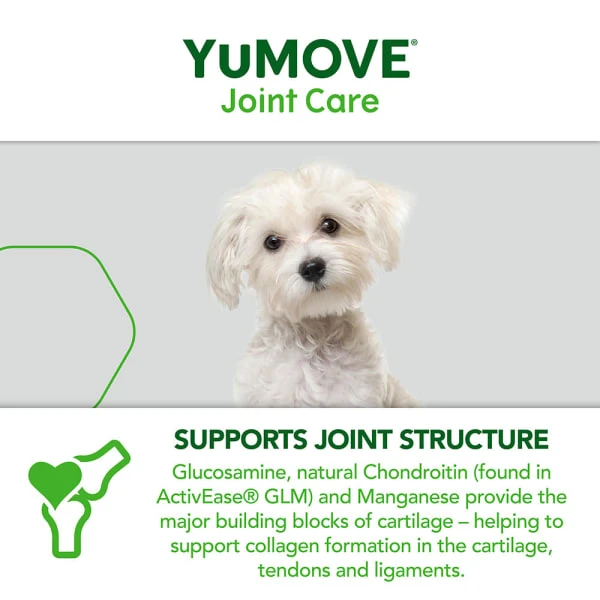 YuMOVE Joint Care One-a-day Supplement For Small Dogs 8 YuMOVE Joint Care One-a-day Supplement For Small Dogs - Image 6