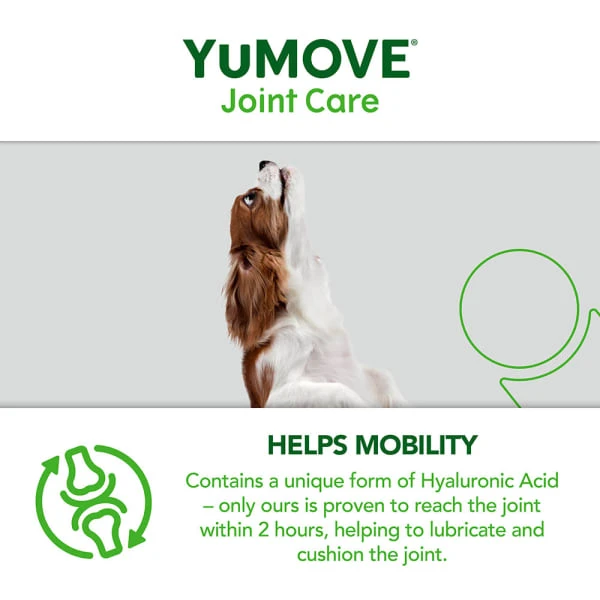 YuMOVE Joint Care One-a-day Supplement For Small Dogs 9 YuMOVE Joint Care One-a-day Supplement For Small Dogs - Image 7