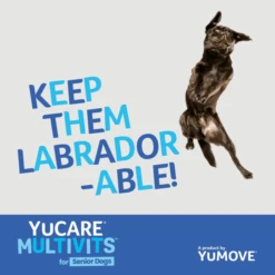 YuCARE MultiVits Senior Dog