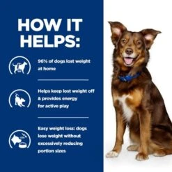 Hill's Prescription Diet Metabolic Weight Management Adult And Senior Dry Dog Food - Lamb & Rice 14 Hill's Prescription Diet Metabolic Weight Management Adult And Senior Dry Dog Food - Lamb & Rice -Fuzzyard Shop I9568293 en 04