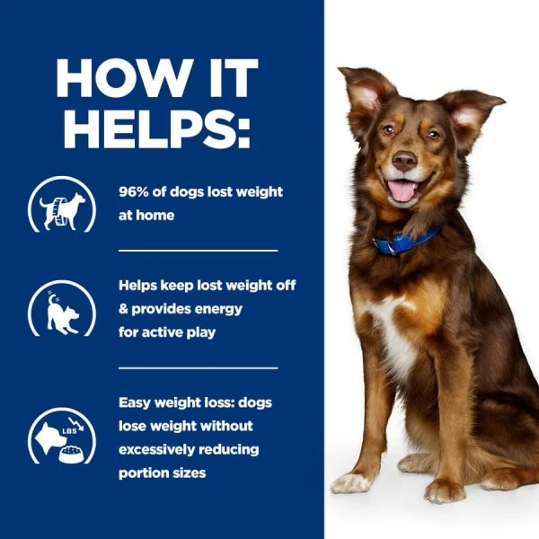 Hill's Prescription Diet Metabolic Weight Management Adult And Senior Dry Dog Food - Lamb & Rice 6 Hill's Prescription Diet Metabolic Weight Management Adult And Senior Dry Dog Food - Lamb & Rice - Image 4