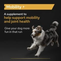 Purina Pro Plan Mobility Adult And Senior Supplement Powder For Dogs -Fuzzyard Shop I9609280 en 18