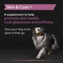 Purina Pro Plan Skin & Coat Adult And Senior Supplement Oil For Dogs -Fuzzyard Shop I9609284 en 13