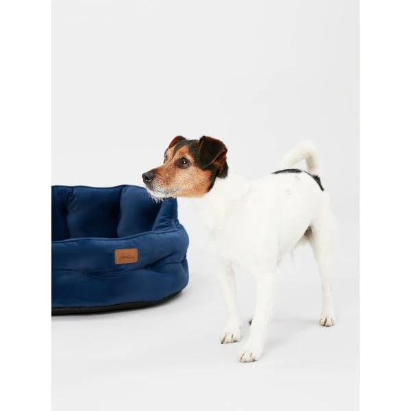Joules Chesterfield Dog Bed - Navy 15 Joules Chesterfield Dog Bed - Navy - Image 13