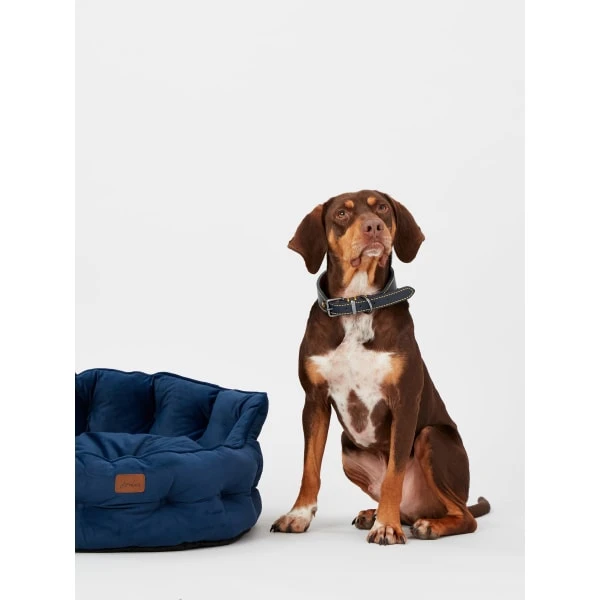 Joules Chesterfield Dog Bed - Navy 10 Joules Chesterfield Dog Bed - Navy - Image 8