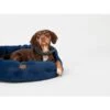 Joules Chesterfield Dog Bed - Navy -Fuzzyard Shop I9637396 en 15