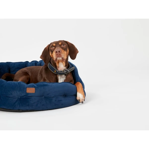 Joules Chesterfield Dog Bed - Navy 3 Joules Chesterfield Dog Bed - Navy