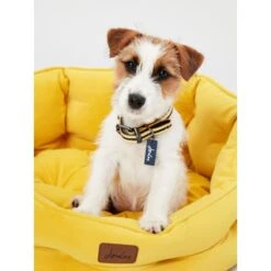 Joules Chesterfield Dog Bed - Yellow -Fuzzyard Shop I9637397 en 10
