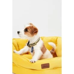 Joules Chesterfield Dog Bed - Yellow -Fuzzyard Shop I9637397 en 14