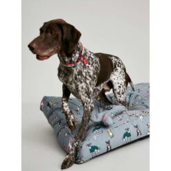 Joules Rainbow Dog Mattress -Fuzzyard Shop I9637401 en 07