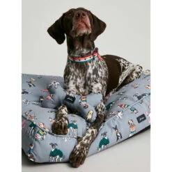 Joules Rainbow Dog Mattress -Fuzzyard Shop I9637401 en 08