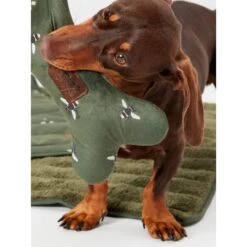 Joules Bee Print Dog Blanket -Fuzzyard Shop I9637422 en 18