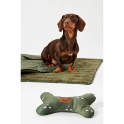 Joules Bee Print Dog Blanket -Fuzzyard Shop I9637422 en 19