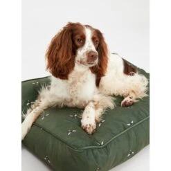 Joules Bee Print Dog Mattress -Fuzzyard Shop I9637424 en 11
