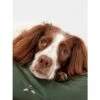 Joules Bee Print Dog Mattress -Fuzzyard Shop I9637424 en 13