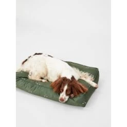 Joules Bee Print Dog Mattress -Fuzzyard Shop I9637424 en 14