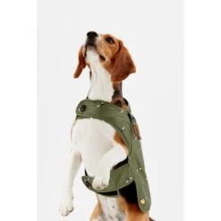 Joules Bee Print Dog Raincoat 26 Joules Bee Print Dog Raincoat -Fuzzyard Shop I9637425 en 07