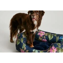 Joules Floral Box Dog Bed -Fuzzyard Shop I9637426 en 07