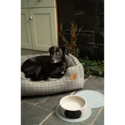 Petface Square Dog Bed - Moss Green -Fuzzyard Shop I9647277 en 04