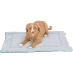 Trixie Junior Lying Dog Mat - Light Grey/Mint -Fuzzyard Shop I9658330 en 05
