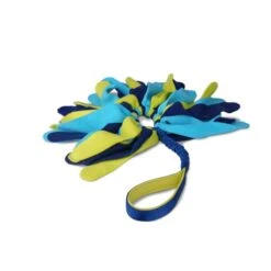 Coachi Tuggi Spider Toy For Dogs - Navy, Lime & Light Blue -Fuzzyard Shop I9659292