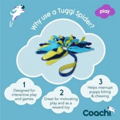Coachi Tuggi Spider Toy For Dogs - Navy, Lime & Light Blue -Fuzzyard Shop I9659292 en 04