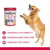Harringtons Advanced Science Joint Support Senior Dog Tablets